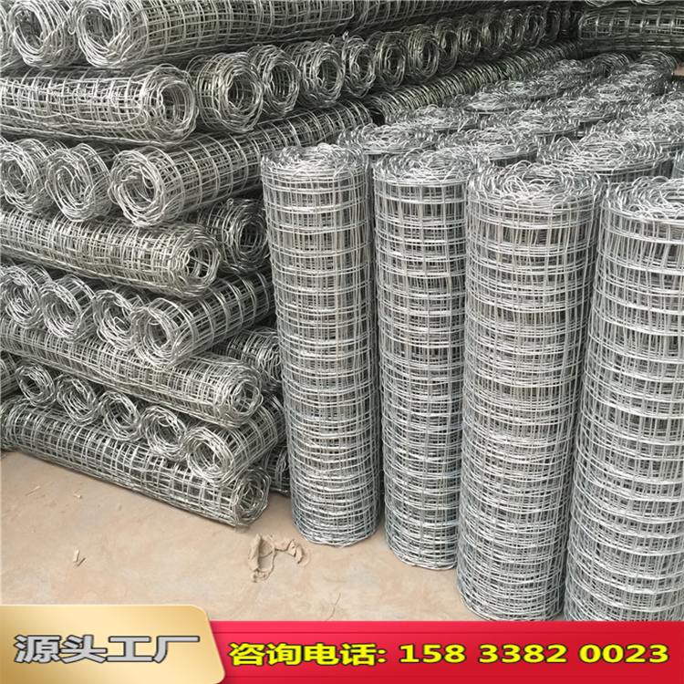 礦用經(jīng)緯編織網(wǎng)圖片2